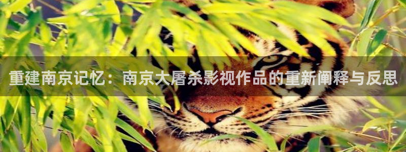 新闻图片