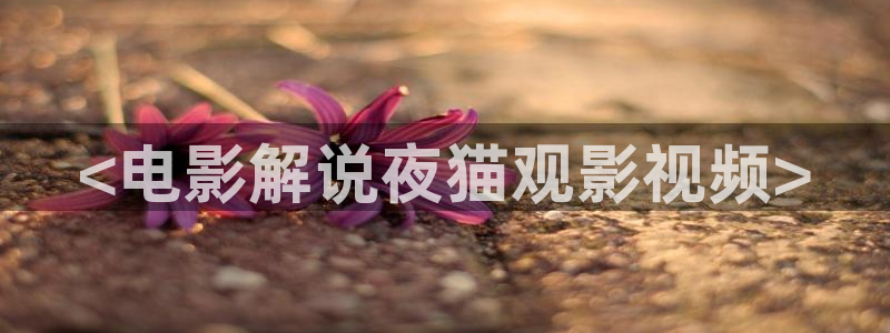 新闻图片